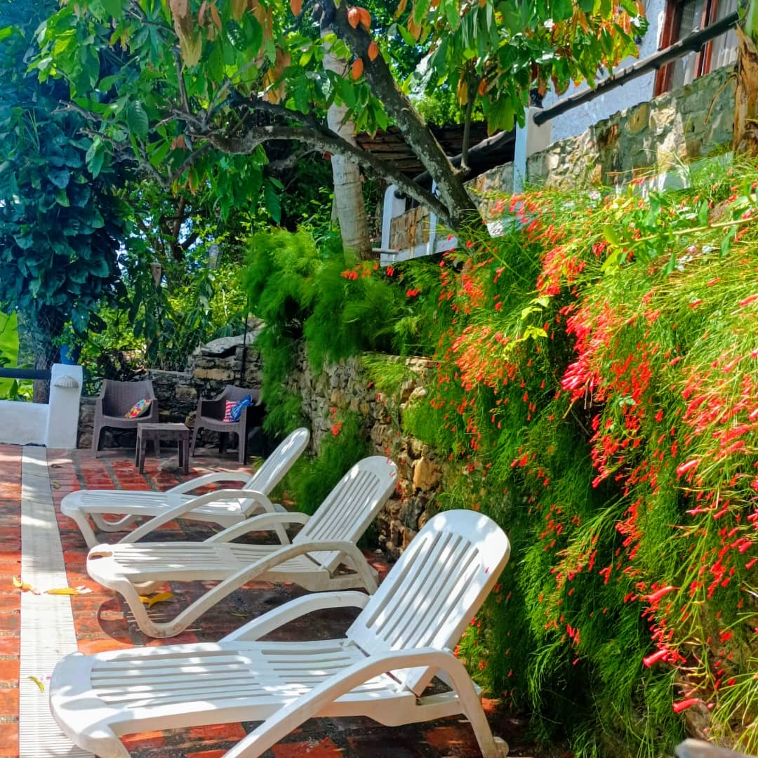 Hotel El Montero  2